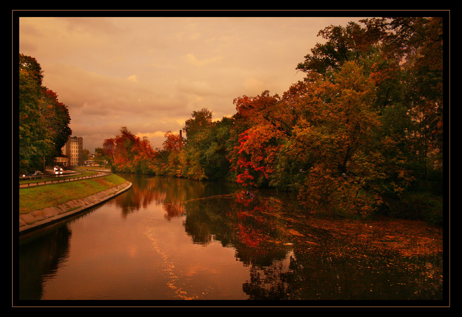 Automne осень autumn automne чёрная речка