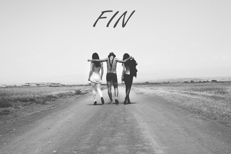Fin 