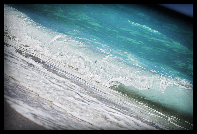 wave 