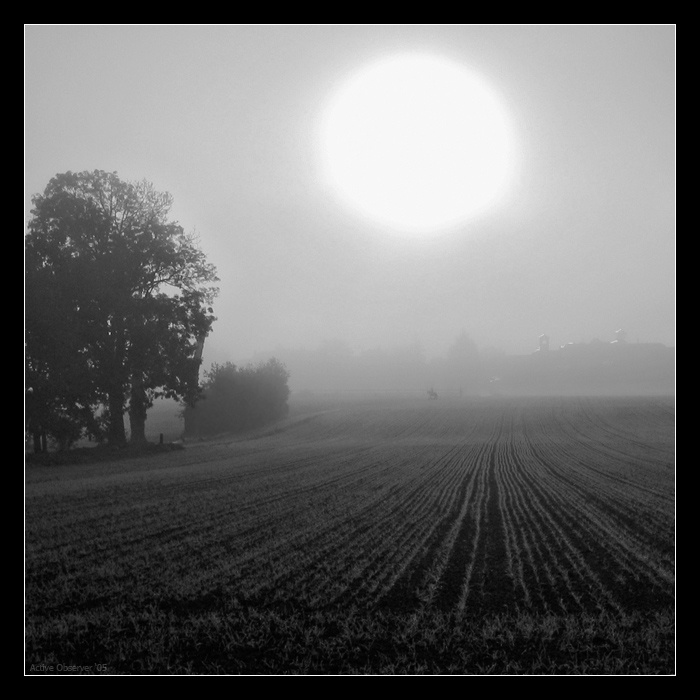 Sous le soleil du printemps Soleil