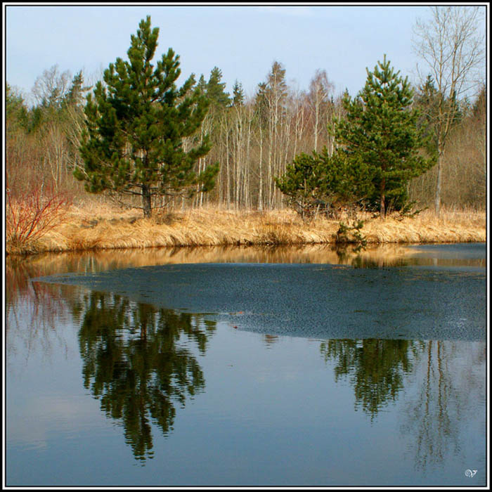 весна вода,весна, пруд