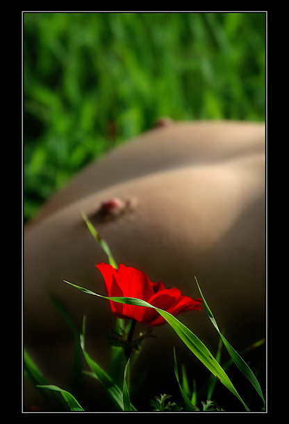 NUDE #6 лето маки цветок грудь ню