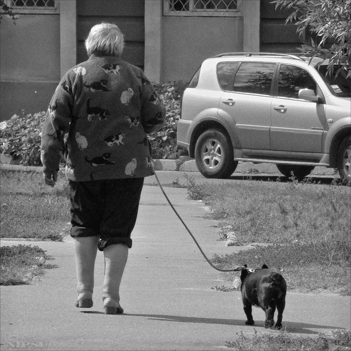В мире животных 