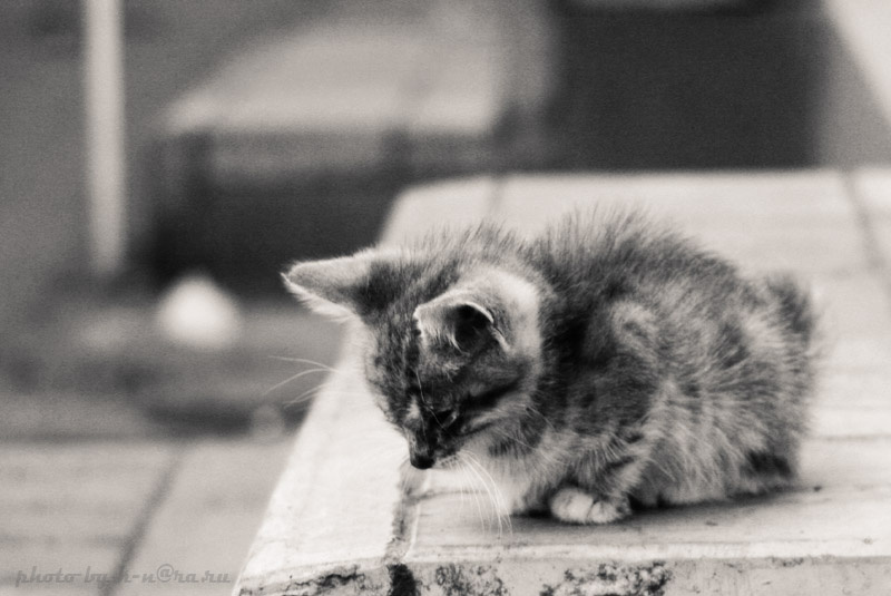 alone 
