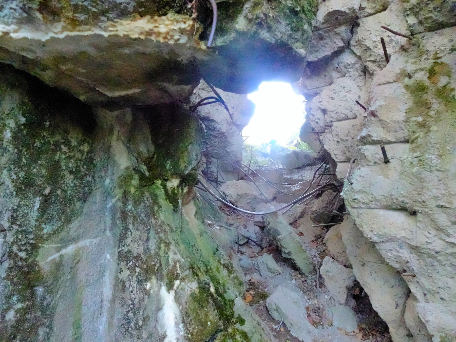 Ставка Гитлера Wolfsschanze Волчье логово Польша Wolfsschanze Гитлер