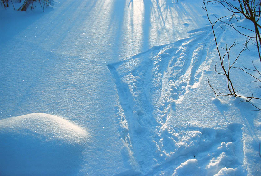 былобыло зима , снег , бег