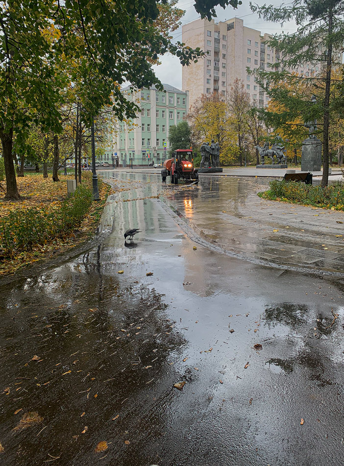 что такое осень!? мокрота) 