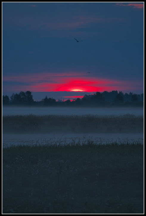 Рассвет... Siberia.