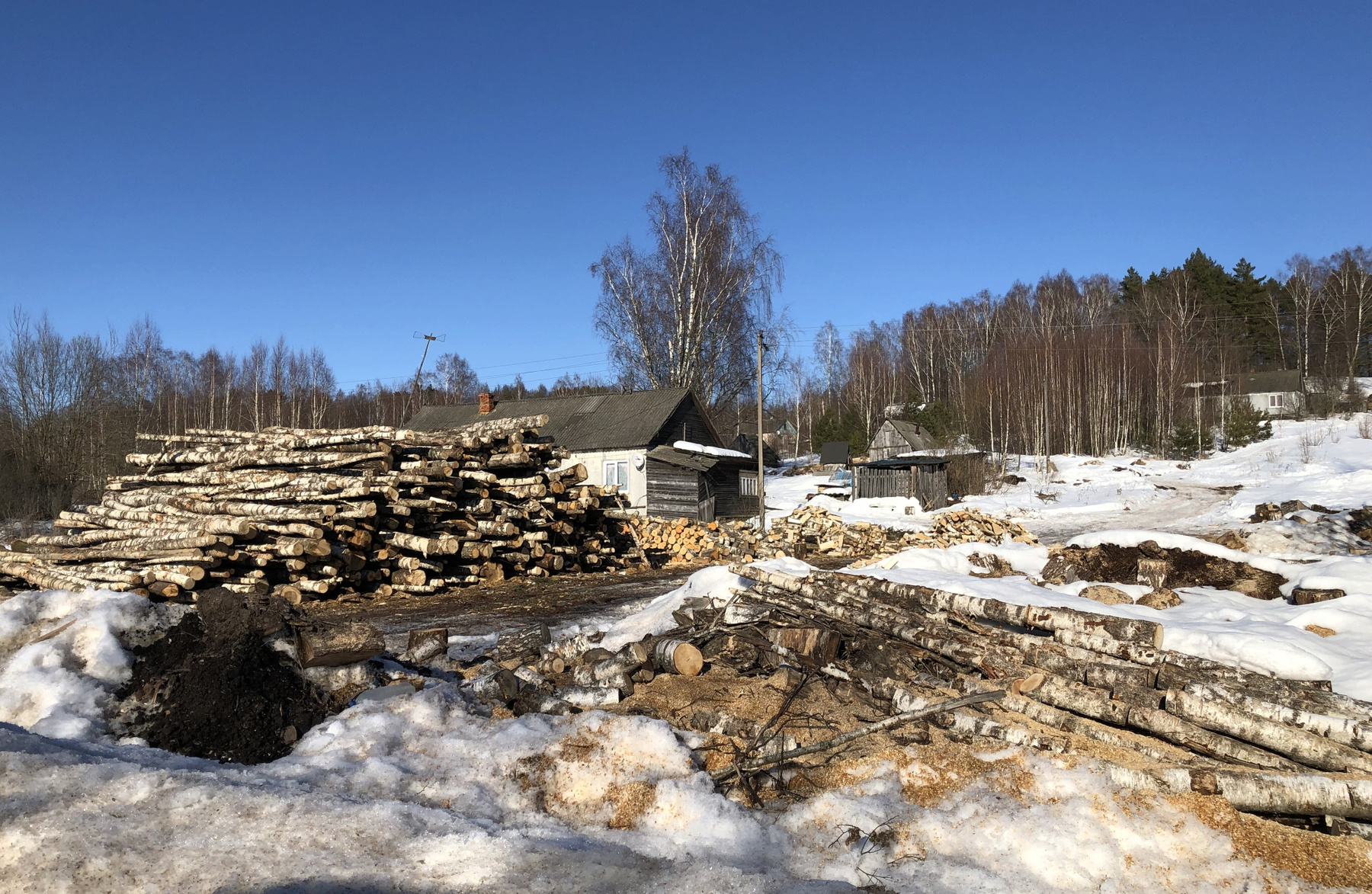 Сельская жизнь 