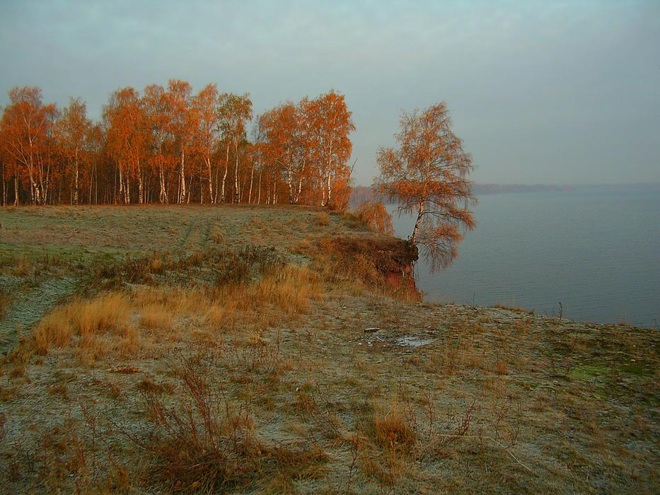 Октябрь на Волге Чкаловск