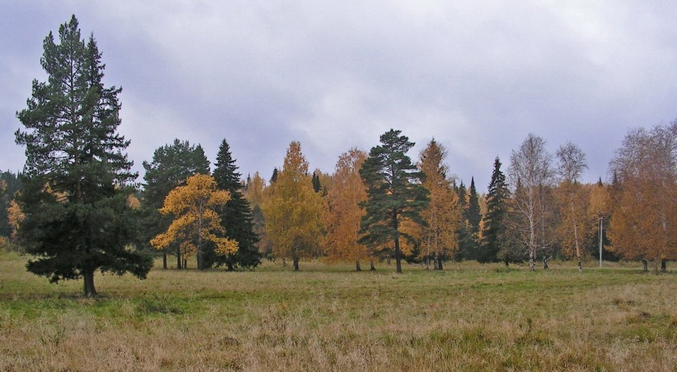 осенний хоровод 