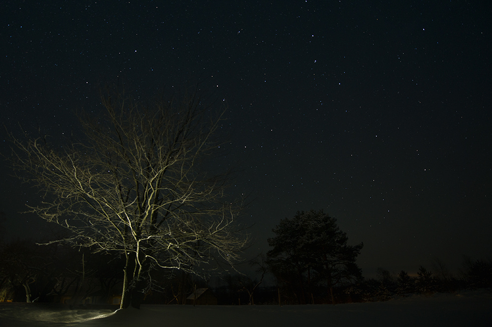 загород 