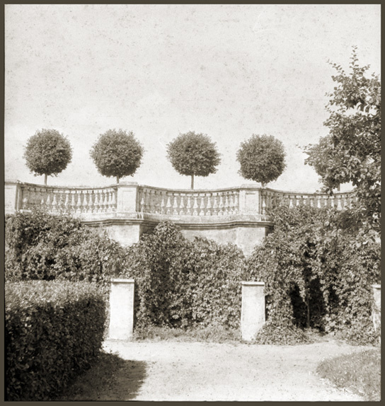 the park sun солнце