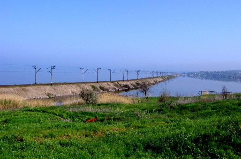 Морэ рэльсы и коровка рэльс