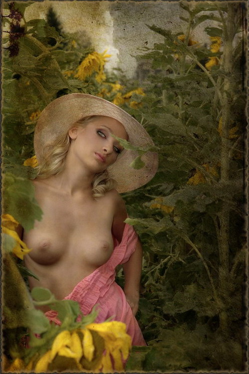 naked sunflower 