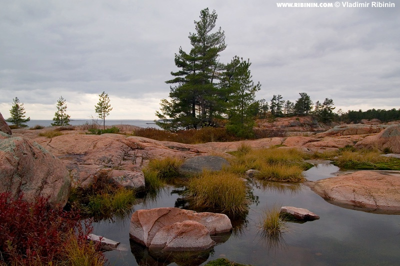 Мир без нас остров Deseronto