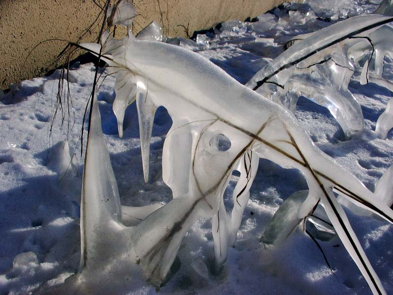 скоро весна 