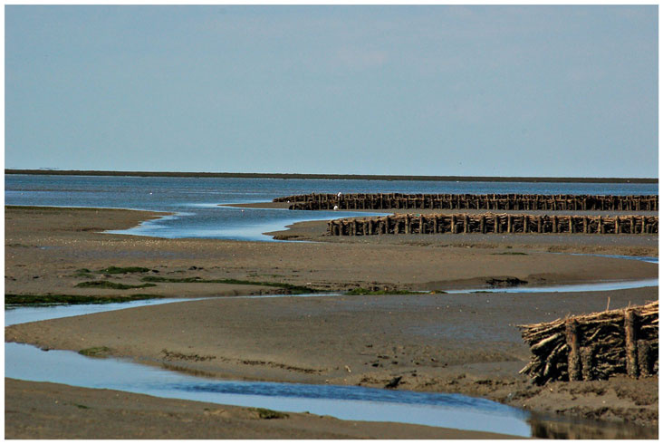 Nord 