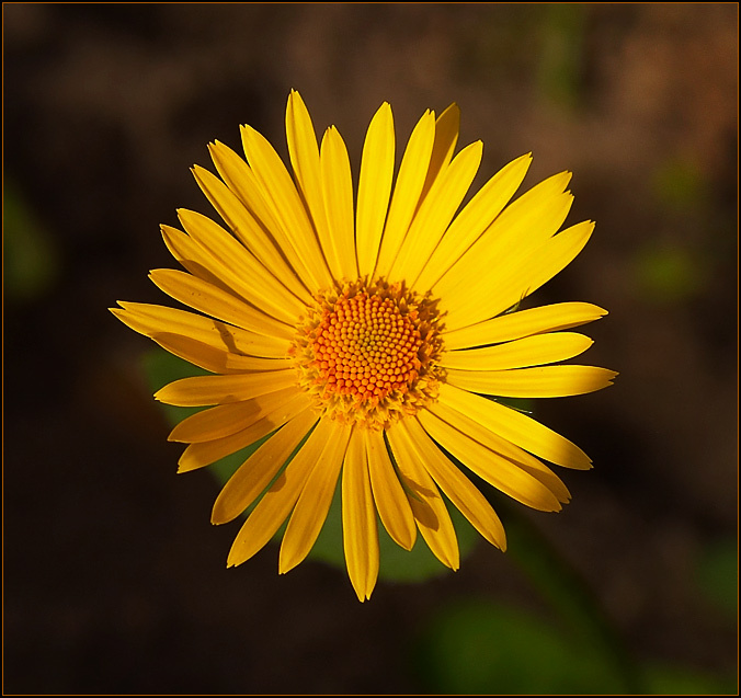 Sunny... 