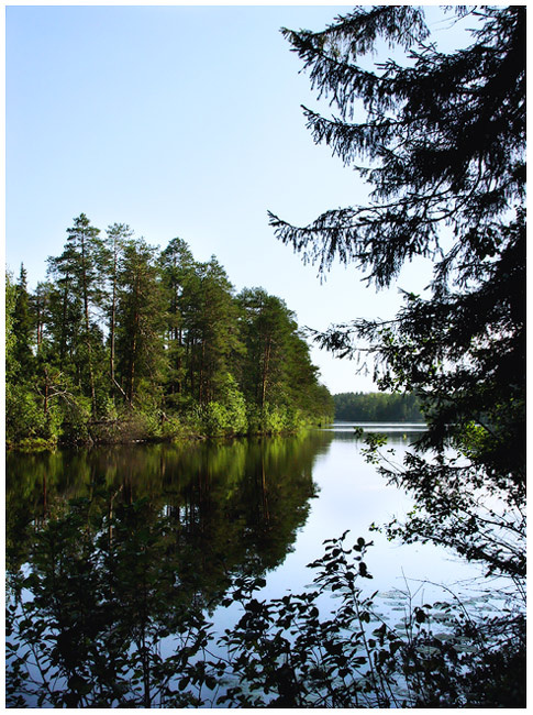 Лесное озеро ***
