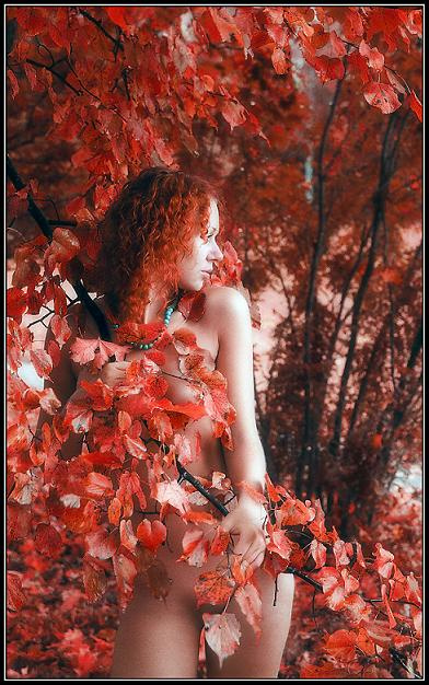autumn осень девушка листья рыжая