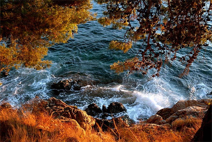 Краски заката Море, Адриатика, сосна, волна, брызги, голубой, оранжевый