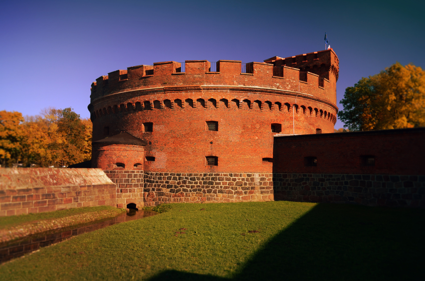 der dona tower музей янтаря