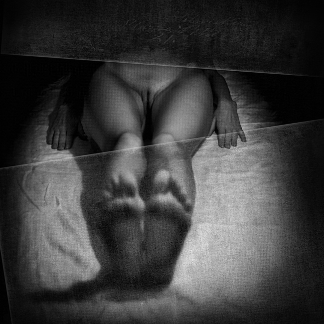 *** modelior