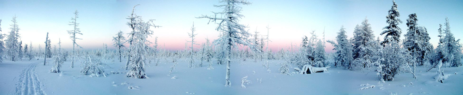 зимняя Якутия зима лес снег