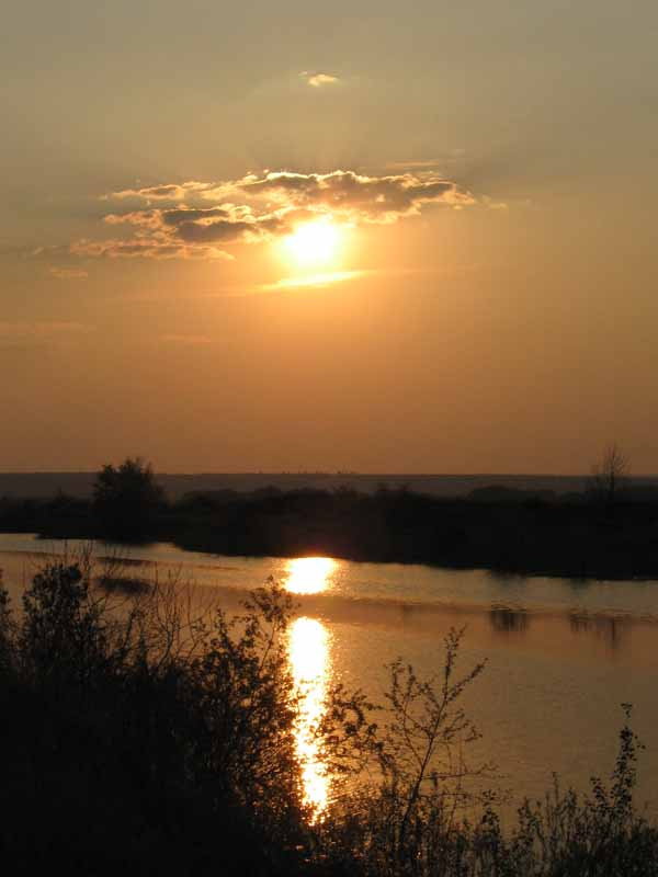 На закате у реки... вода закат небо солнце вечер сумерки деревья трава ерик природа дорожка