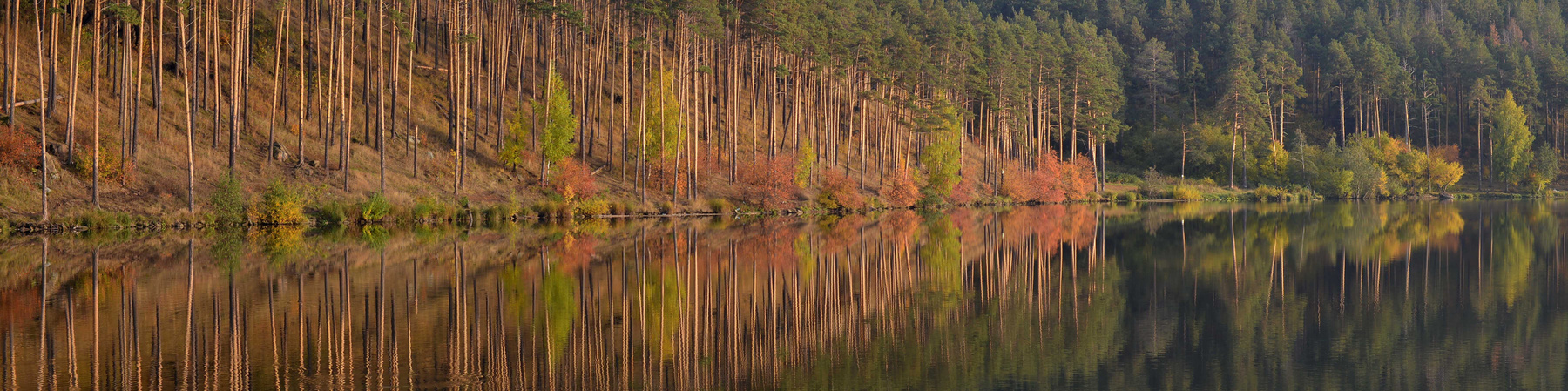 Типа панорама 