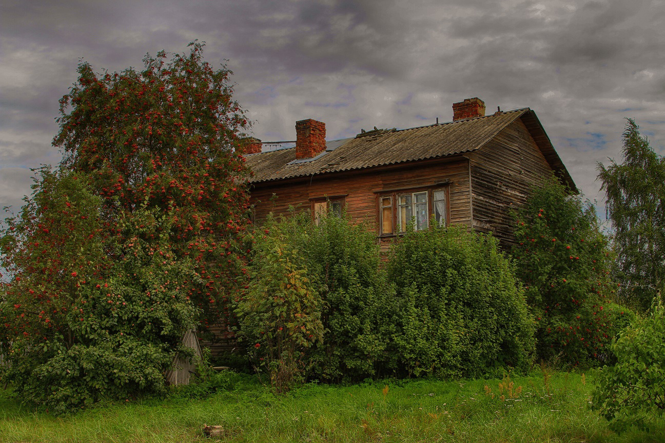 Рябина у дома Сентябрь