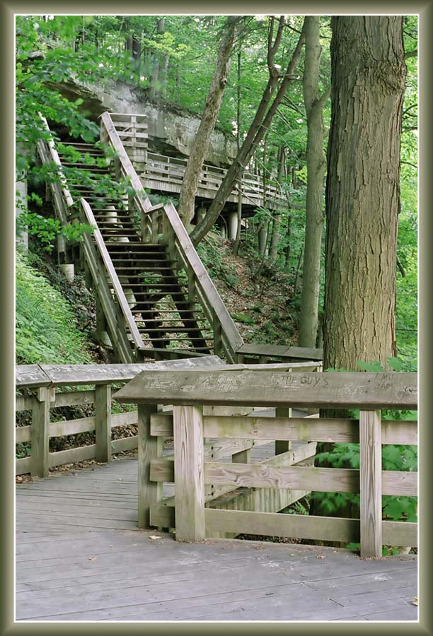 brandywine falls path дорожка, дерево, парк, скала, Cuyahoga, Brandywine