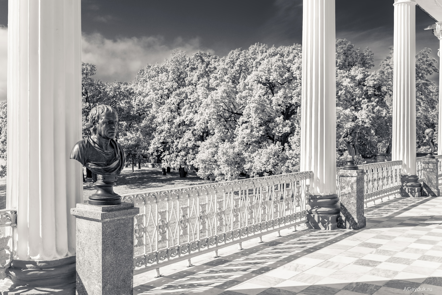 Камеронова галерея 