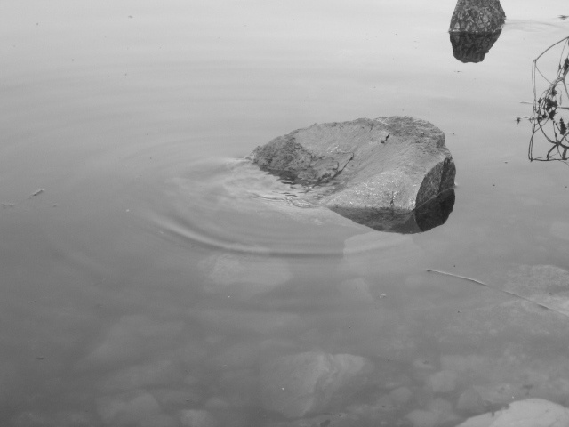 Камень река камень вода круги