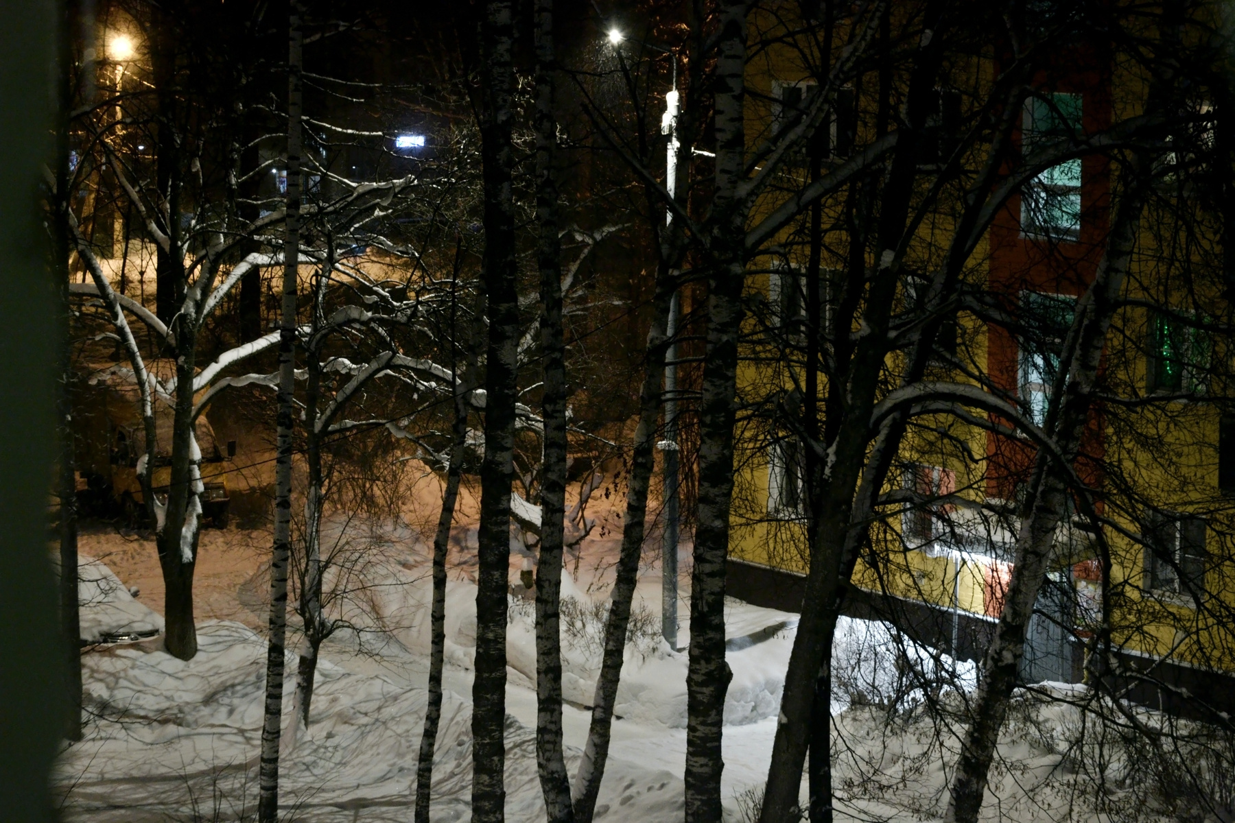 жанровые 
