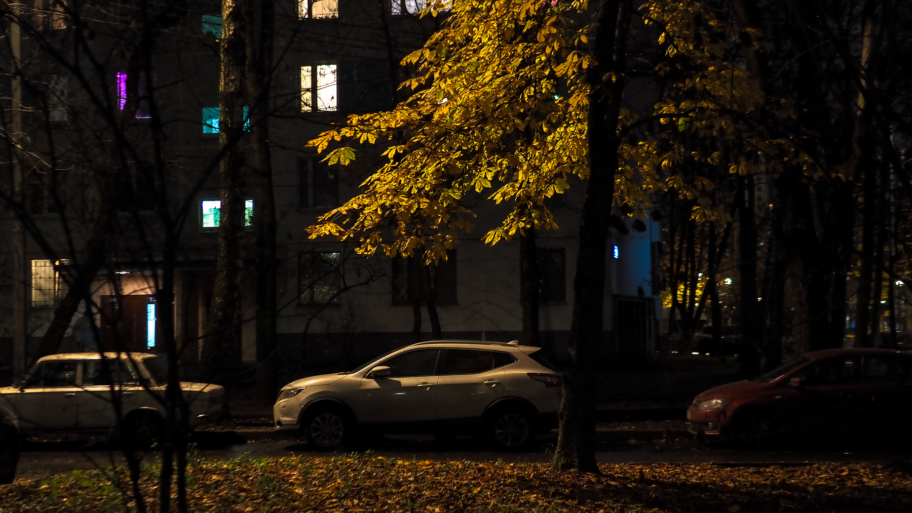 ***Осенний Вечер в Городе olympus 10 MARK IV