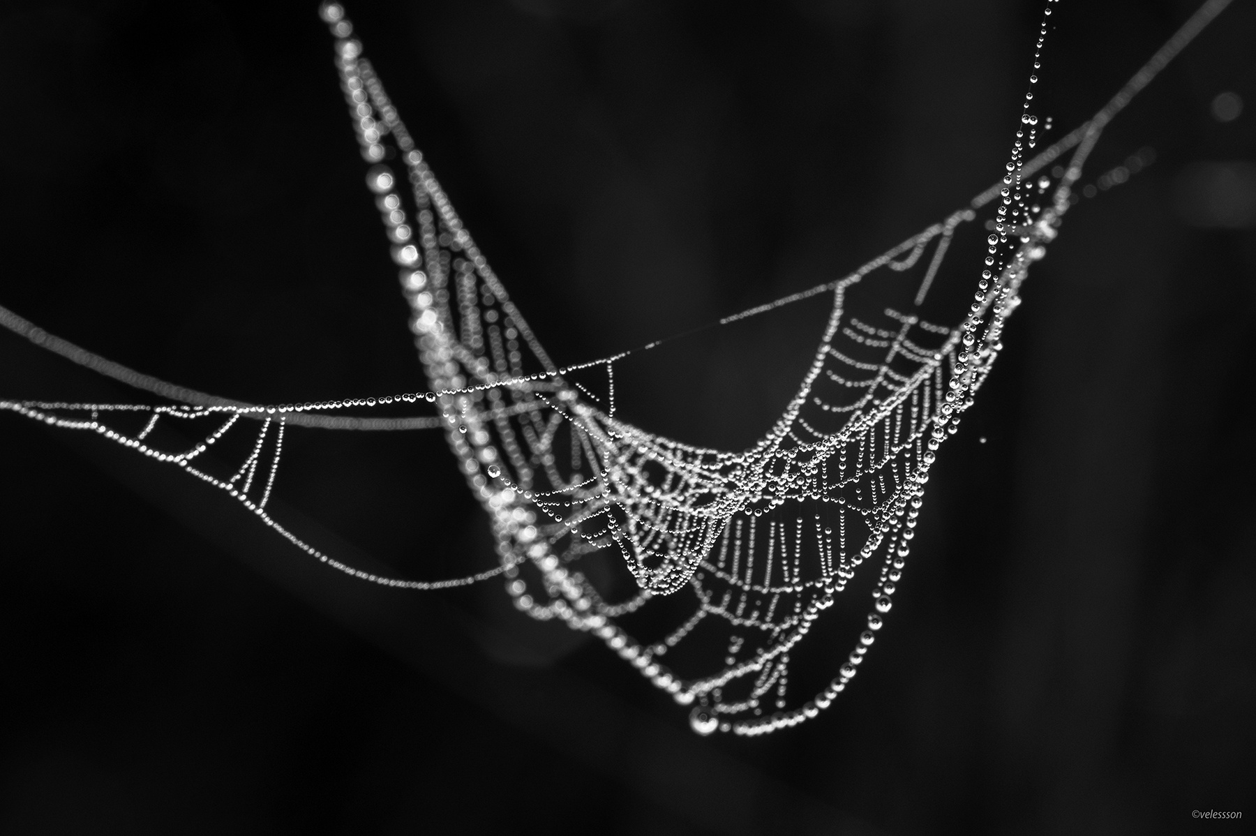 без Названия... 