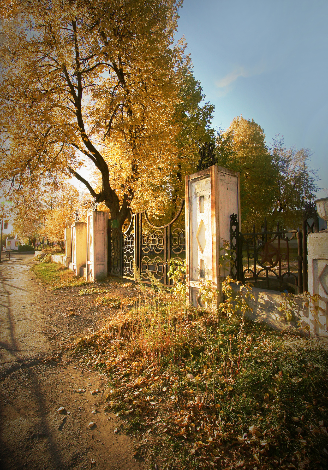 ***Красивая осень осень желтые листья