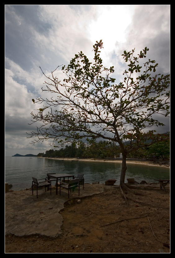 Thai thailand koh samui