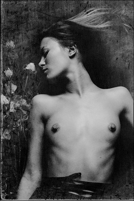 elle - second dream of dollsmaker 