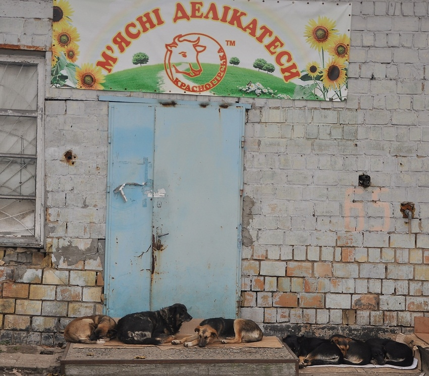 ***заждались 