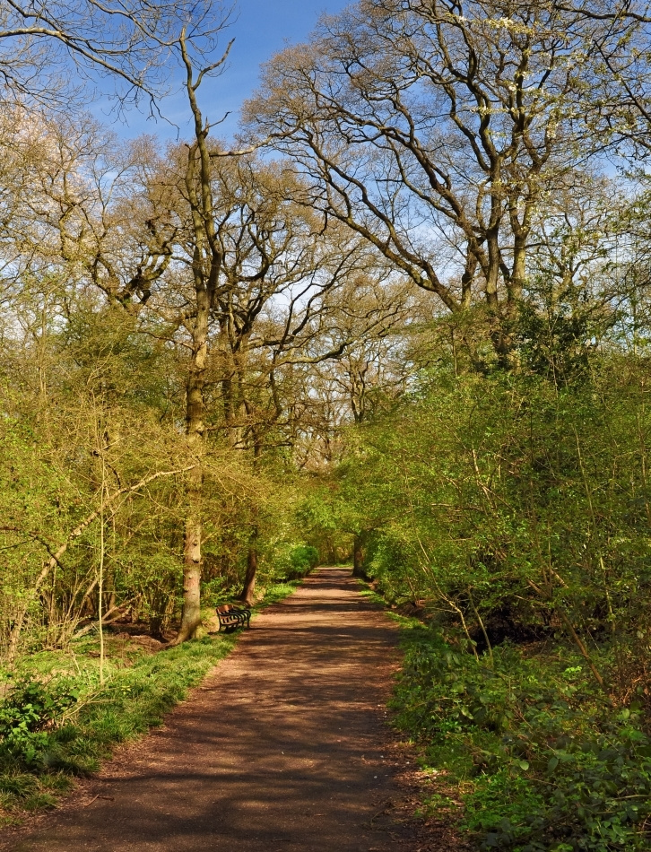 Дорожка в парке. Весна дорожка парк апрель Лондон park April London