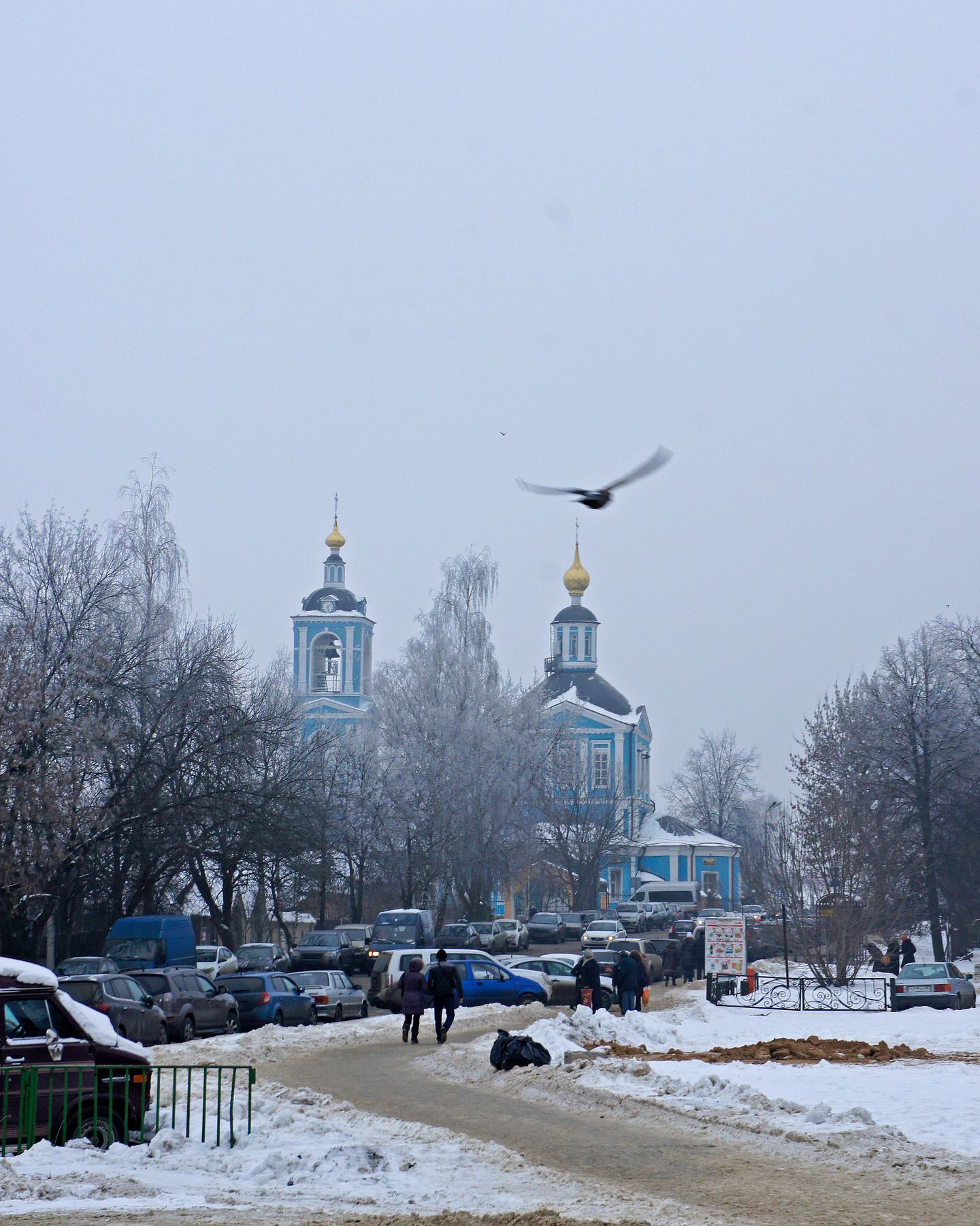 Сергиев Посад накануне 700-летия основателя. Вид на Петропавловское подворье.  08.02.2014 Город Сергиев Посад Храм Зима Панорама
