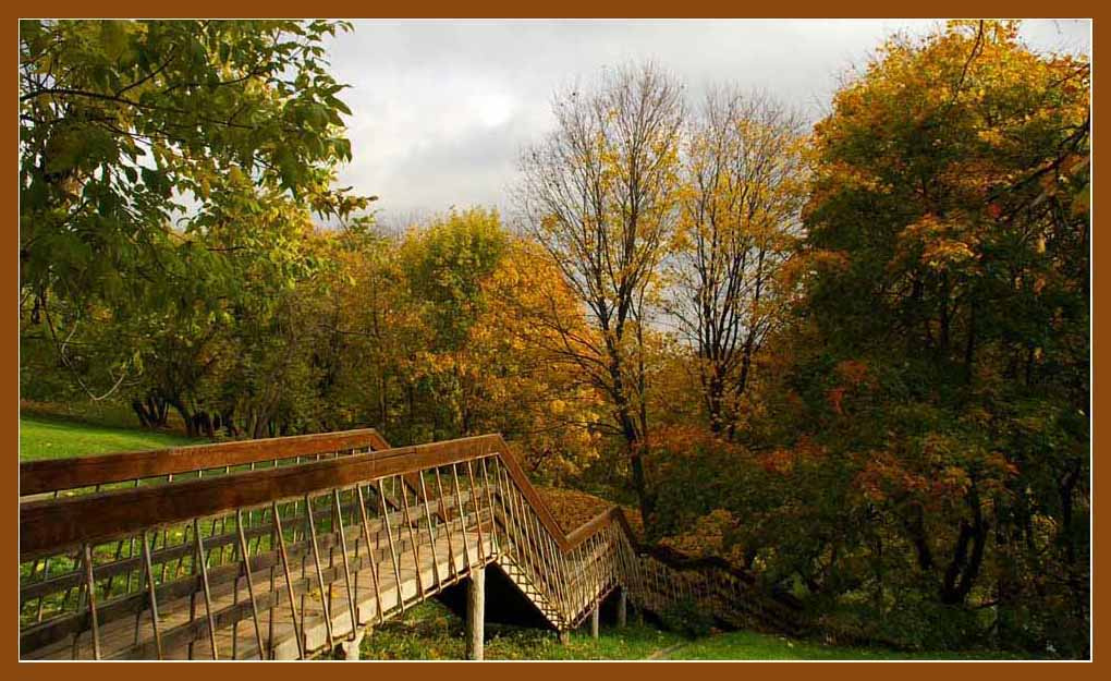 Лестница в осень. Осень, Коломенское