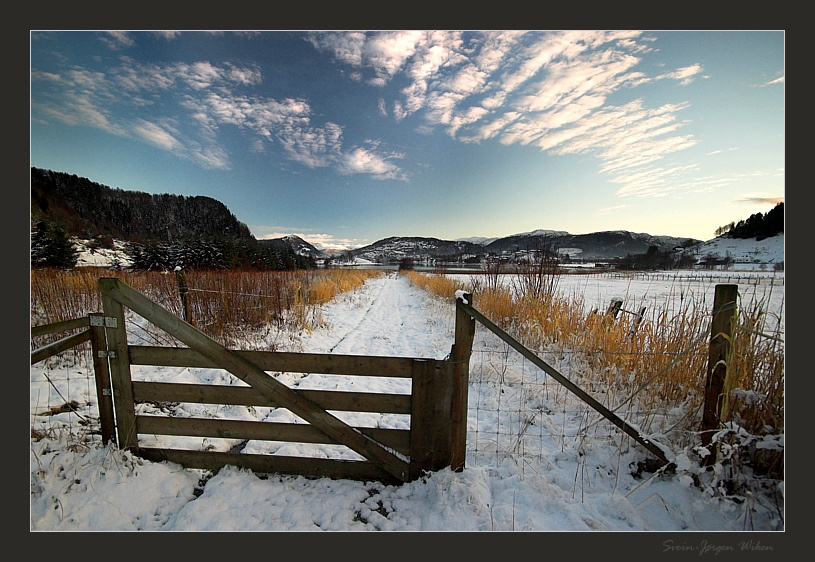 The Gate 