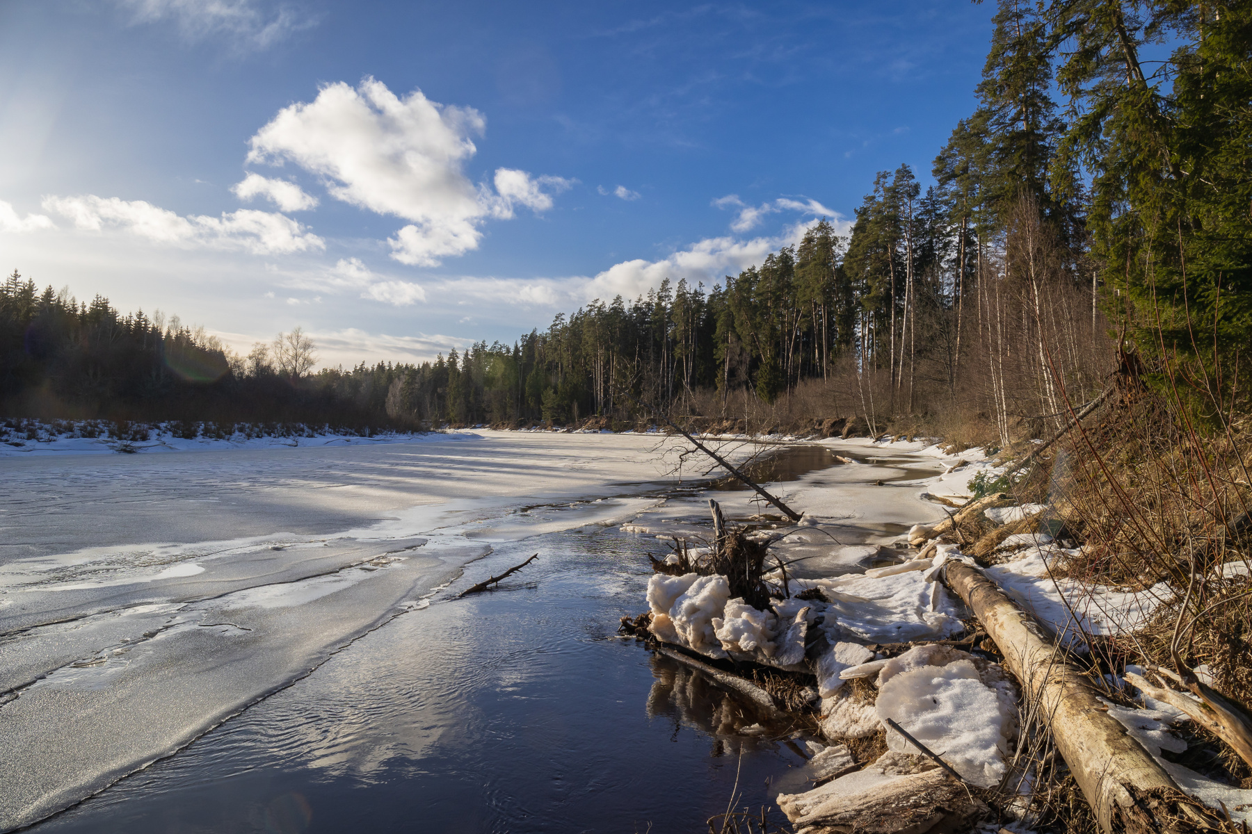 Gauja 