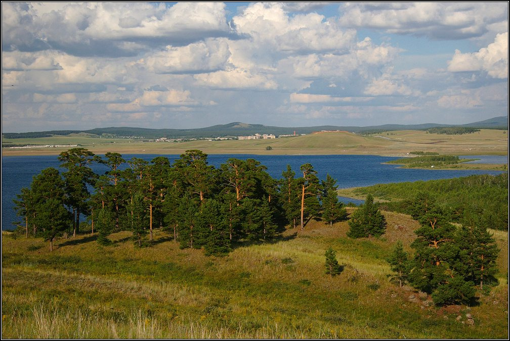 Сосны, озеро и небо 