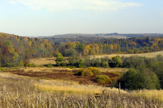 В конце сентября лес природа