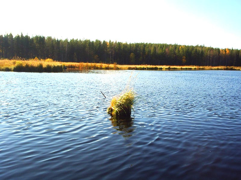 Островок Карелия